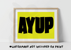 Ayup bold Print